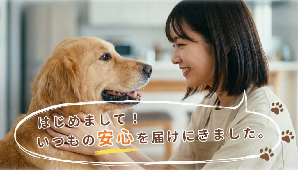はじめまして!いつもの安心を届けにきました。